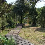Cabana La Fiura